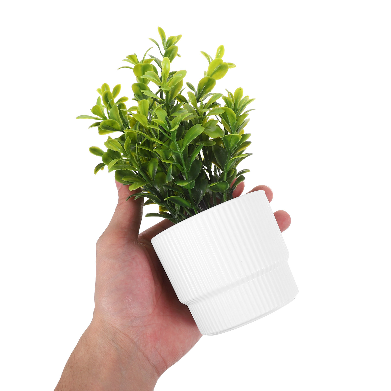 Plant Pot Small Desk - 3 Buah Tanaman Eucalyptus Simulasi Kecil