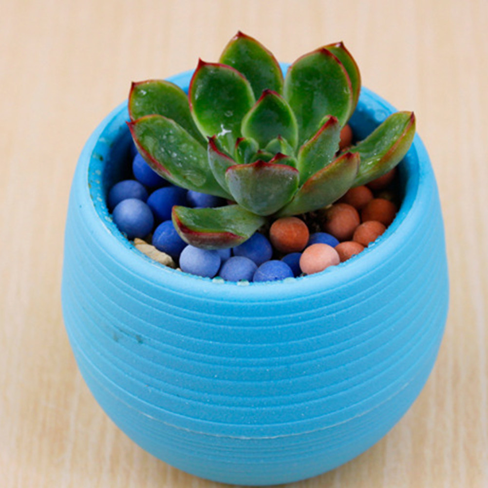 Plant Pot Small Desk - Pot Sukulen Resin Mini Bulat Warna