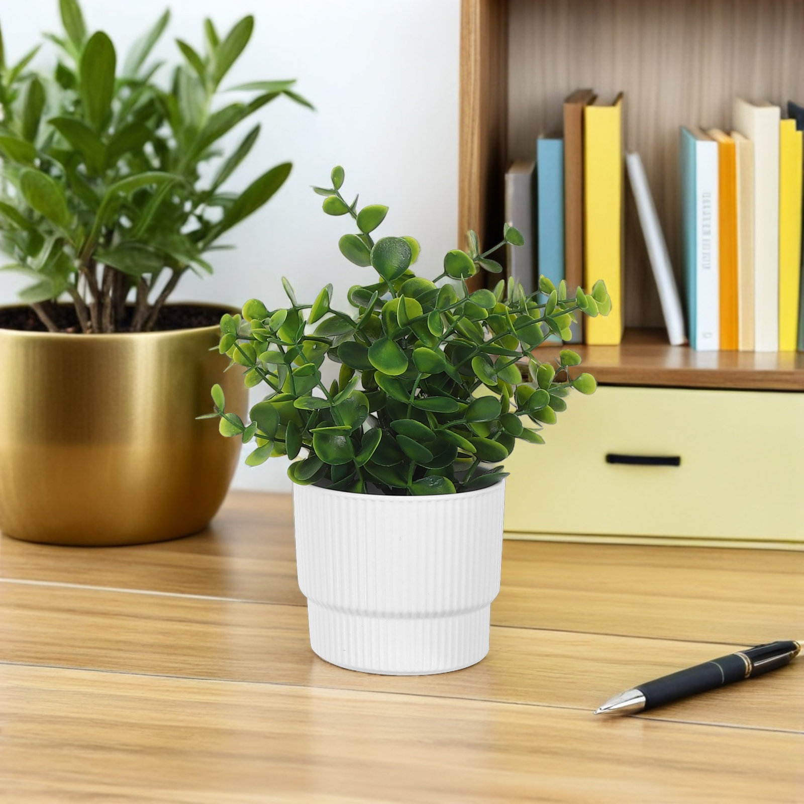 3 Buah Tanaman Eucalyptus Simu - Plant Pot Small Desk ulasan dan harga