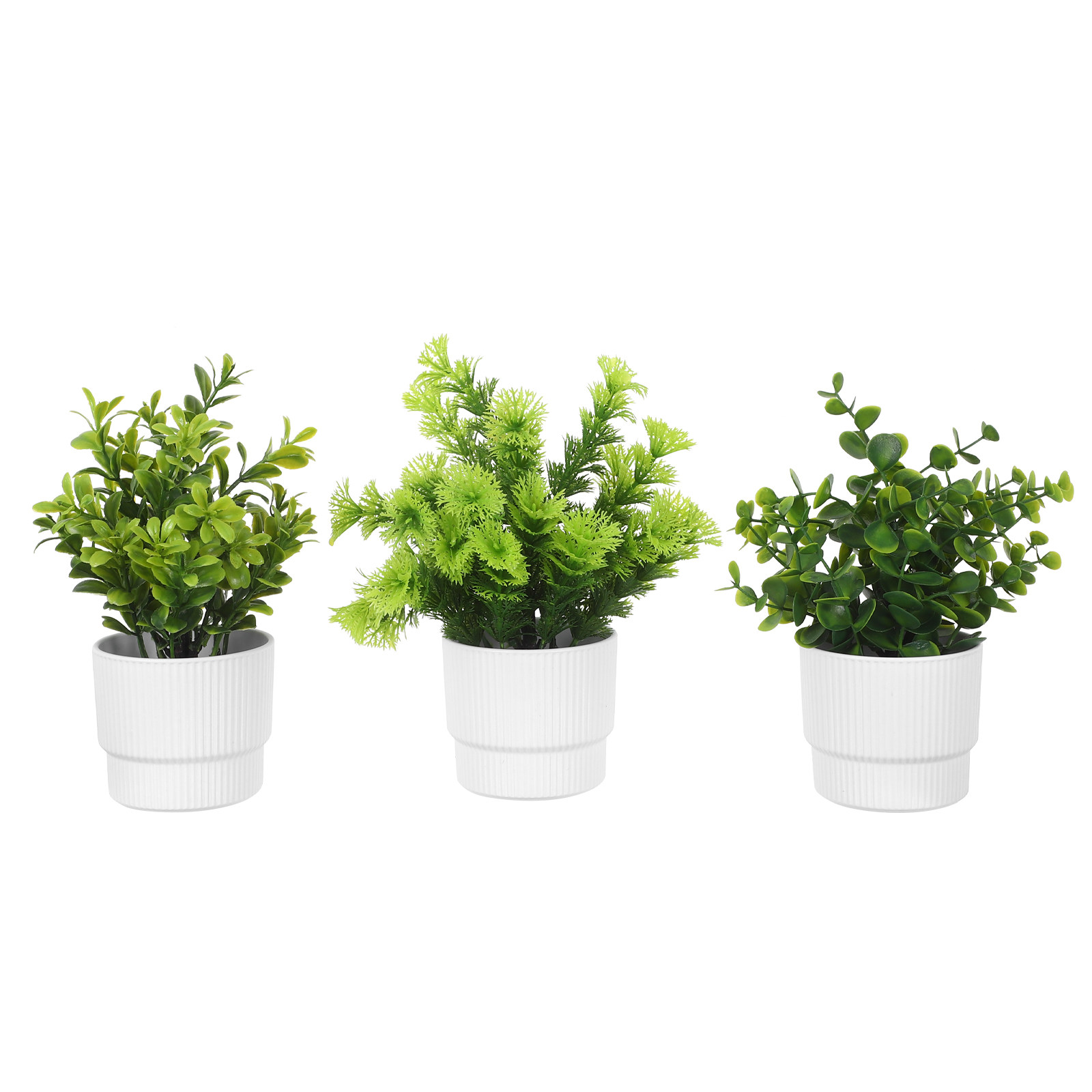 3 Buah Tanaman Eucalyptus Simu - Plant Pot Small Desk ulasan dan harga