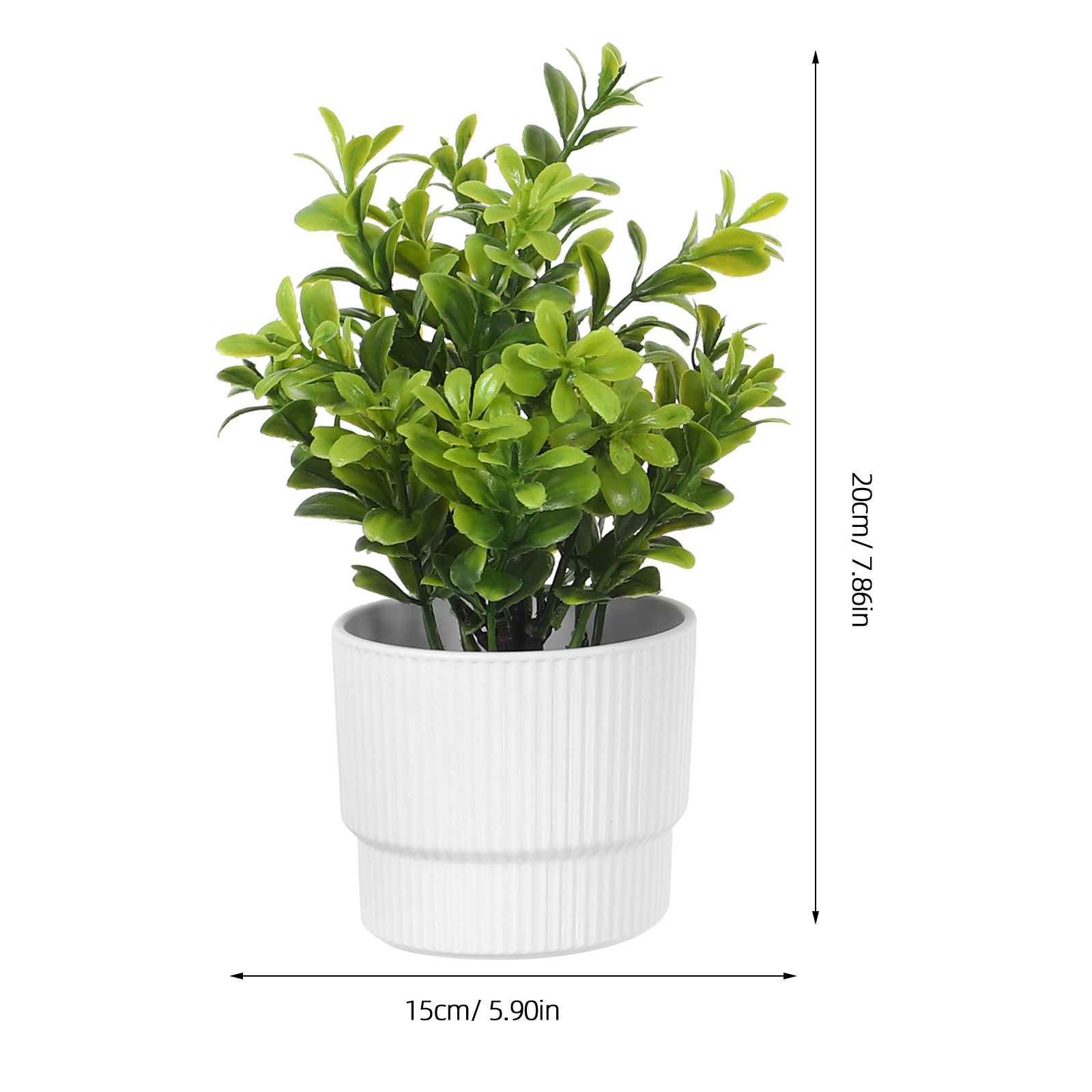 3 Buah Tanaman Eucalyptus Simu - Plant Pot Small Desk ulasan dan harga