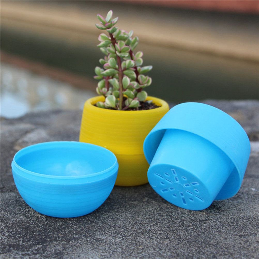 Pot Sukulen Resin Mini Bulat W - Plant Pot Small Desk ulasan dan harga