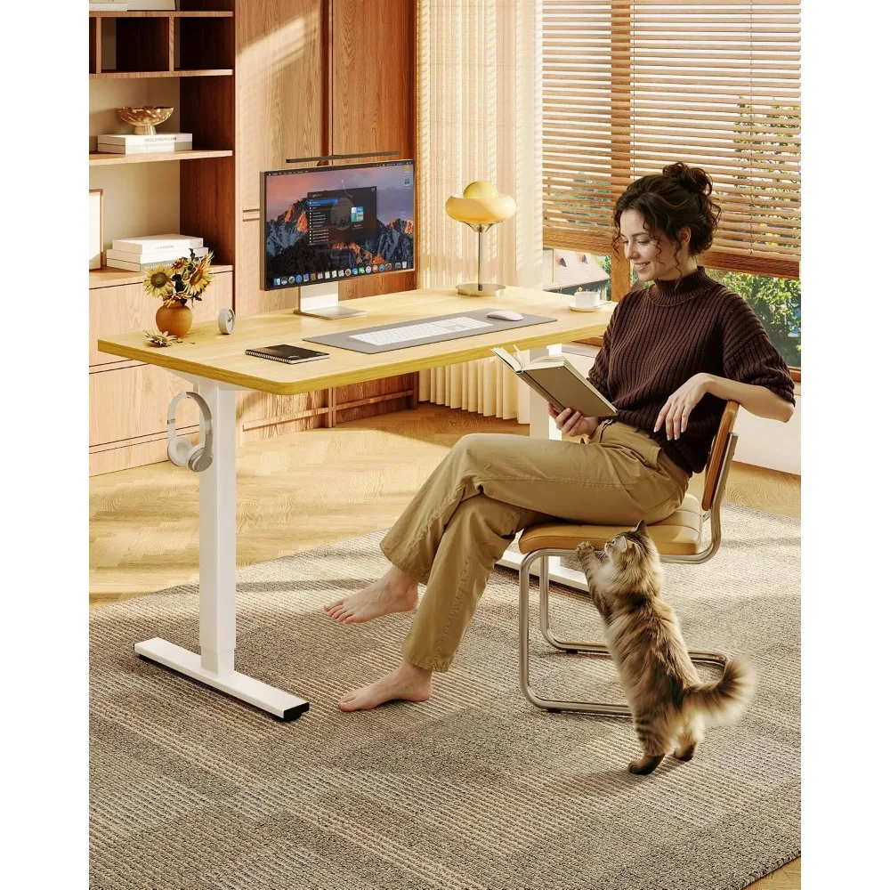 Meja Kerja Berdiri Satu Bagian - Desk Setup One Monitor ulasan dan harga