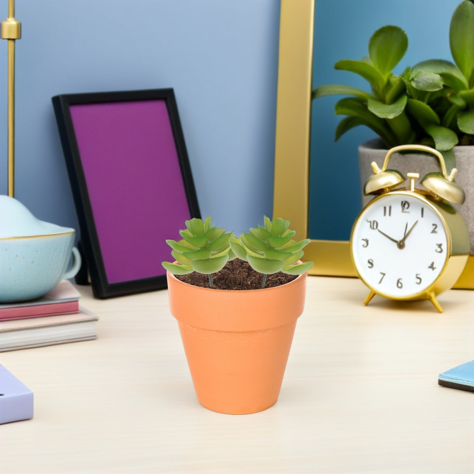 6 Buah Tanaman Sukulen Buatan  - Plant Pot Small Desk ulasan dan harga