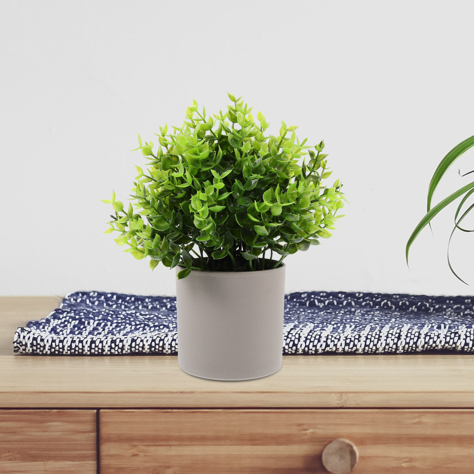 Ornamen Bonsai Tanaman Hijau P - Plant Pot Small Desk ulasan dan harga