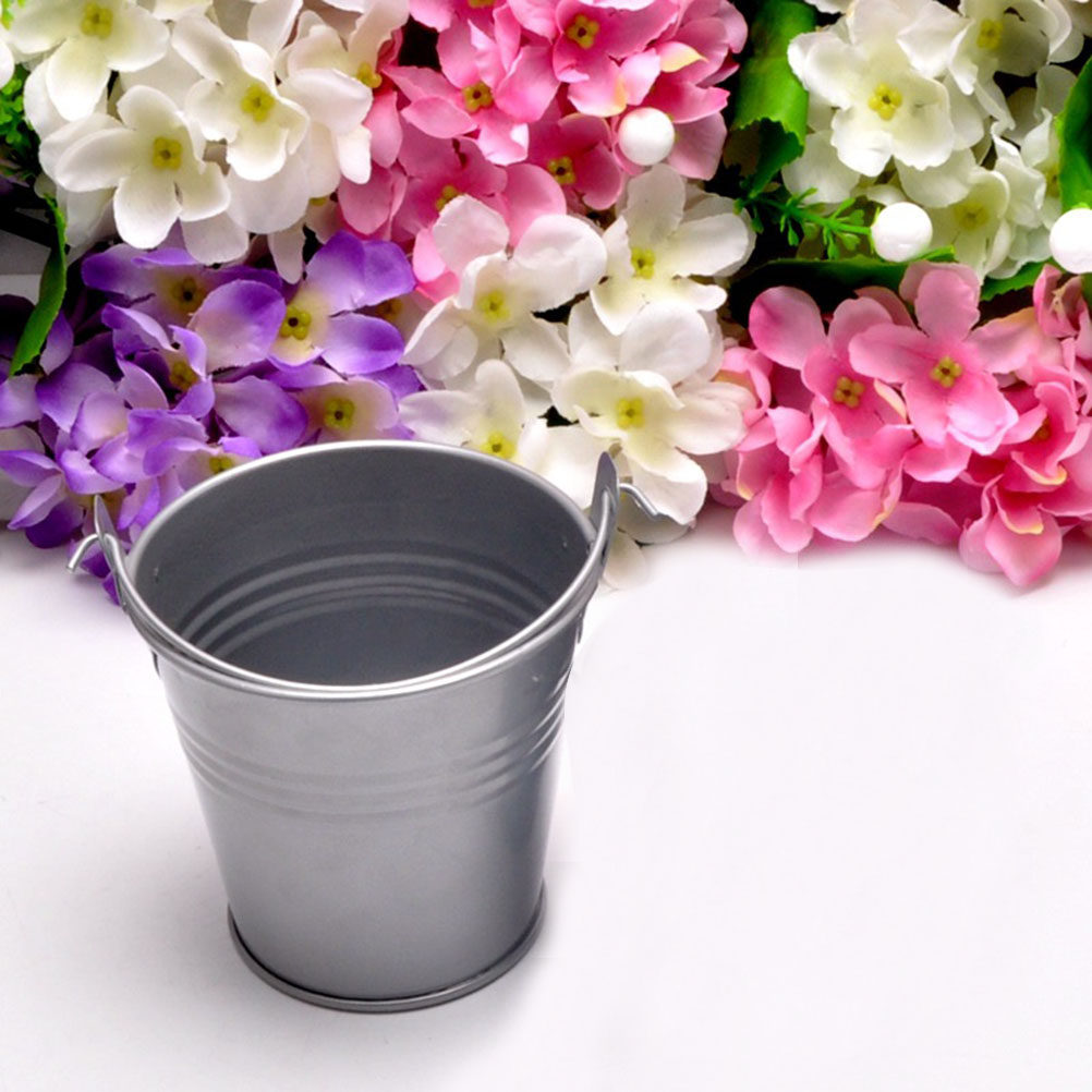 6 Buah Ember Logam Mini untuk  - Plant Pot Small Desk ulasan dan harga