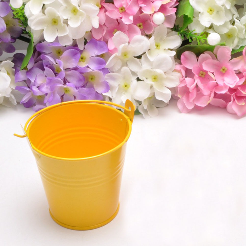6 Buah Ember Logam Mini untuk  - Plant Pot Small Desk ulasan dan harga